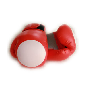 Custom Training Boxing Gloves